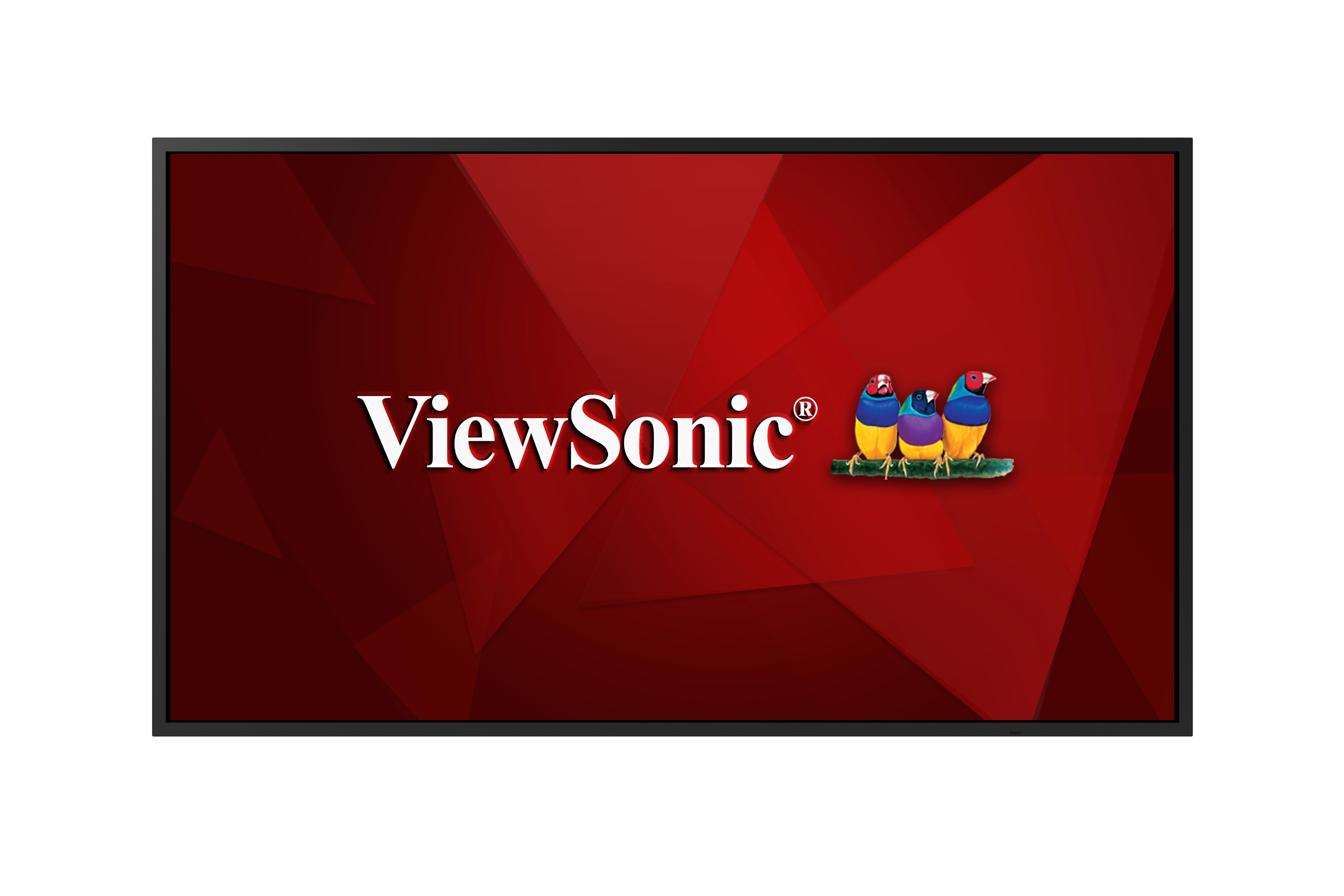 Écran de présentation 4k 43"