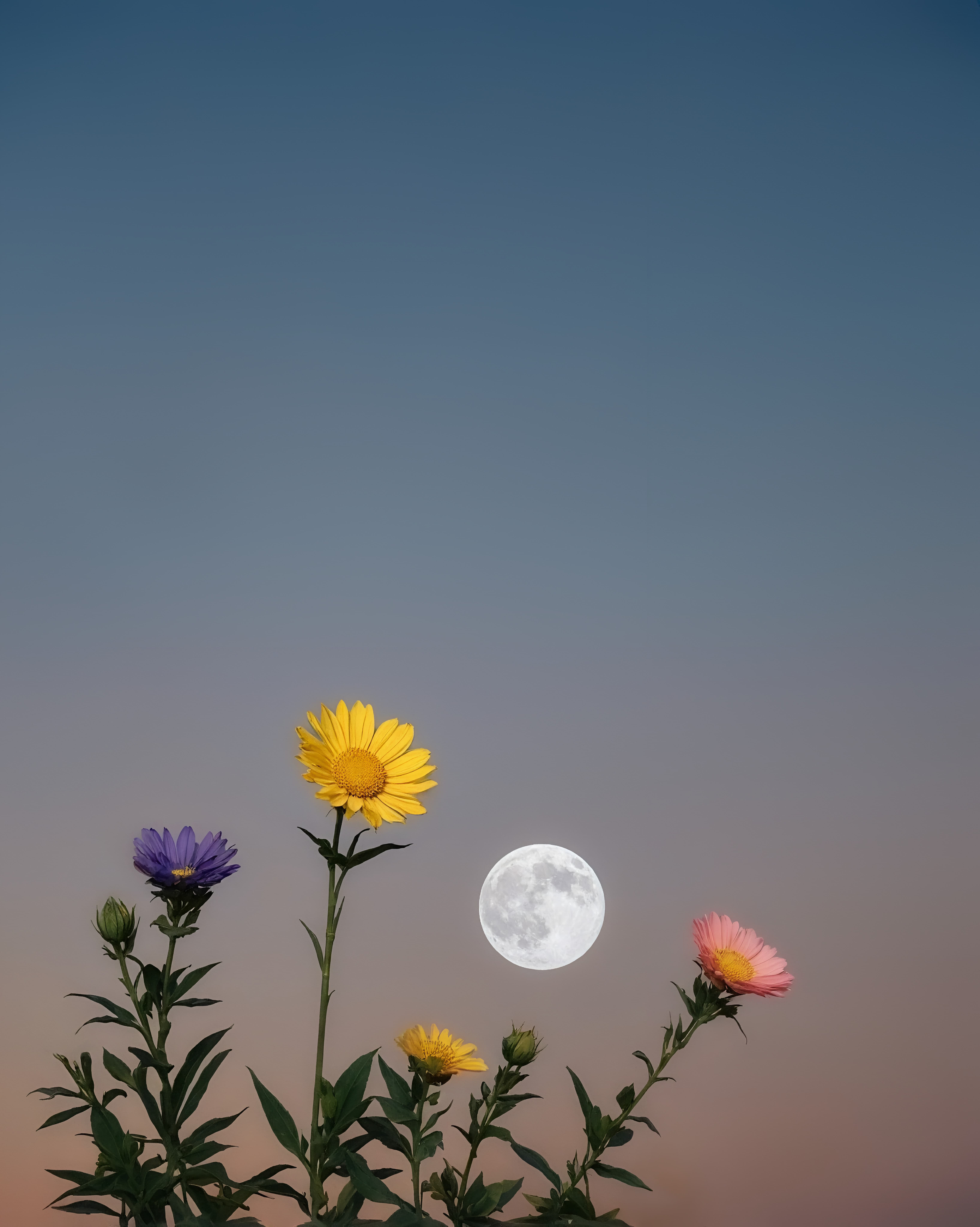 The Sound of Stillness by Sara Pardo Vázquez