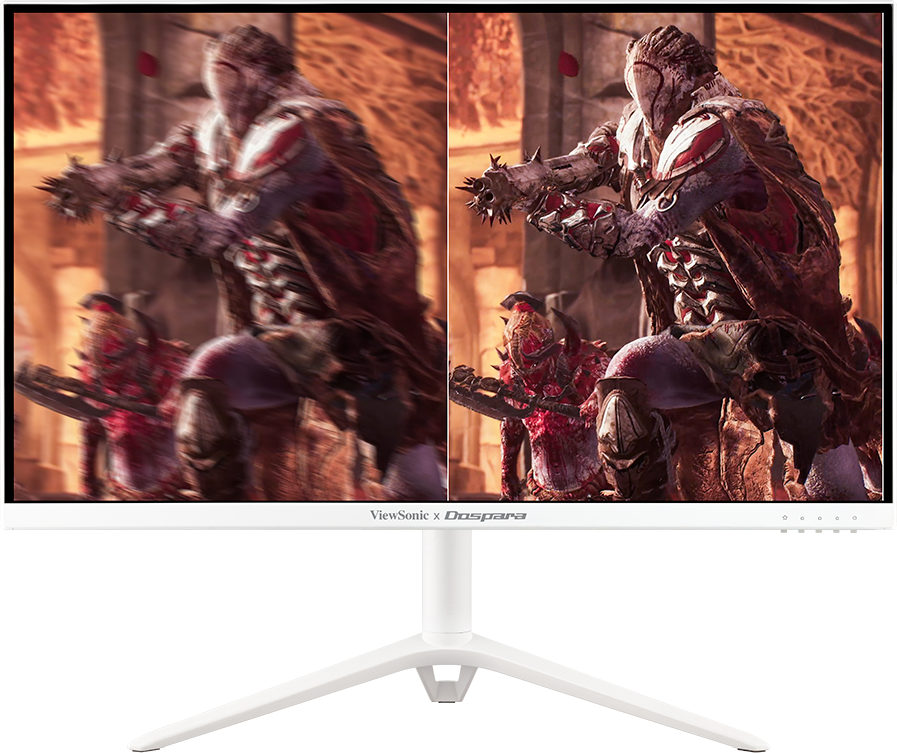 Maxsize 240Hz
