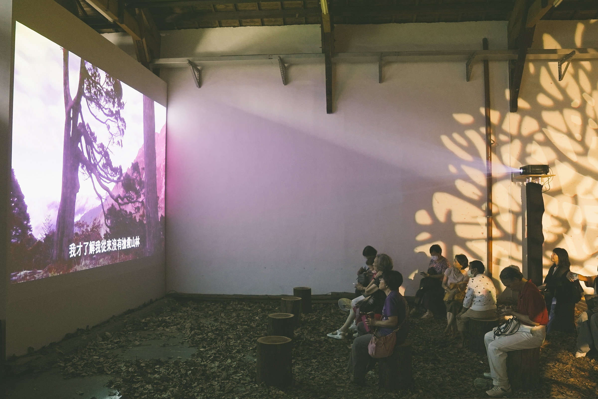ViewSonic投影機於「穿霧之境」展區中清晰呈現臺灣山林紀錄片影像，為觀眾打造沉浸式觀影體驗。